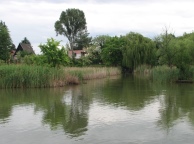 Ráckevei Duna-ág úszólápjai és élővilága